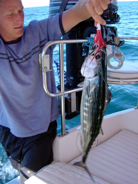 Our first black skip jack